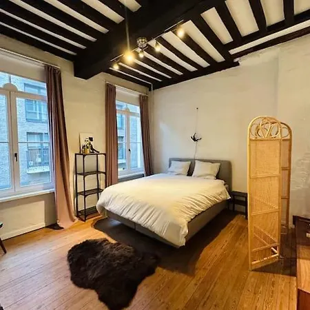 Charmante Woning In Center Apartment *